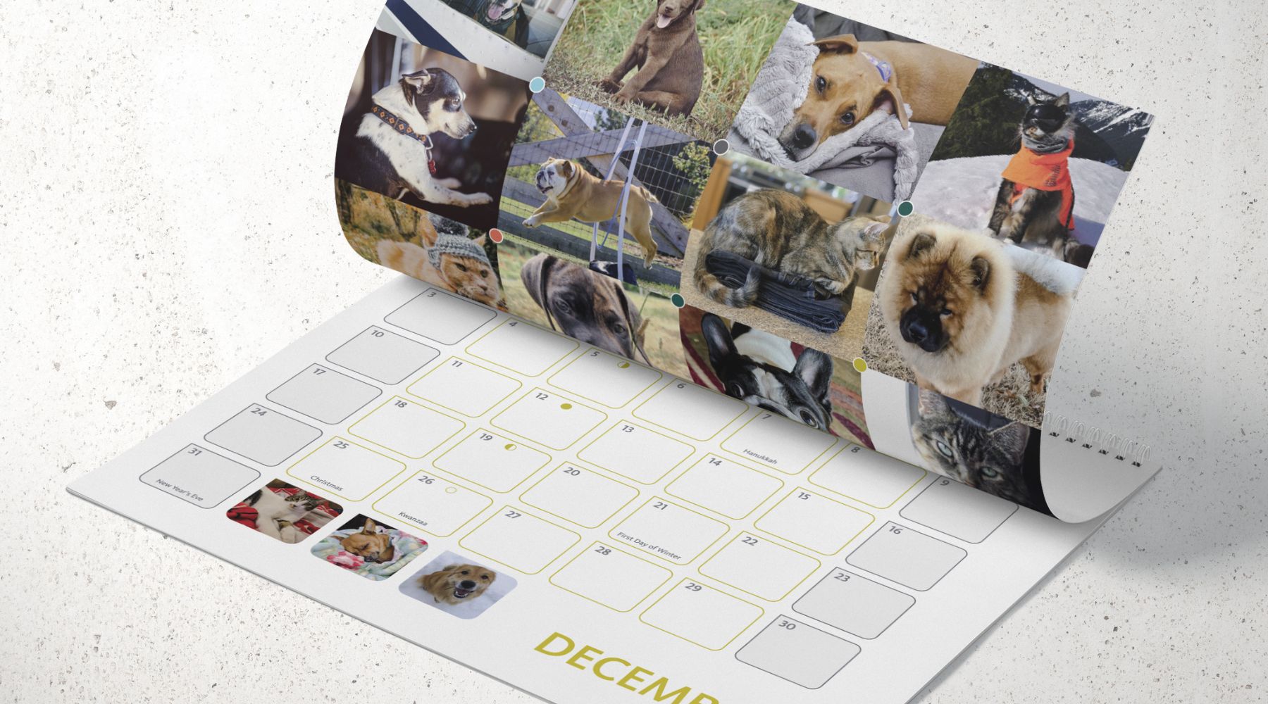 2023 Pet Calendars Available Now — Olympia Federal Savings